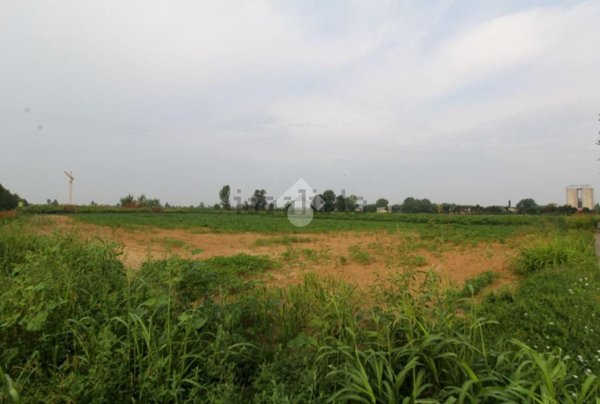 terreno edificabile in vendita a San Paolo