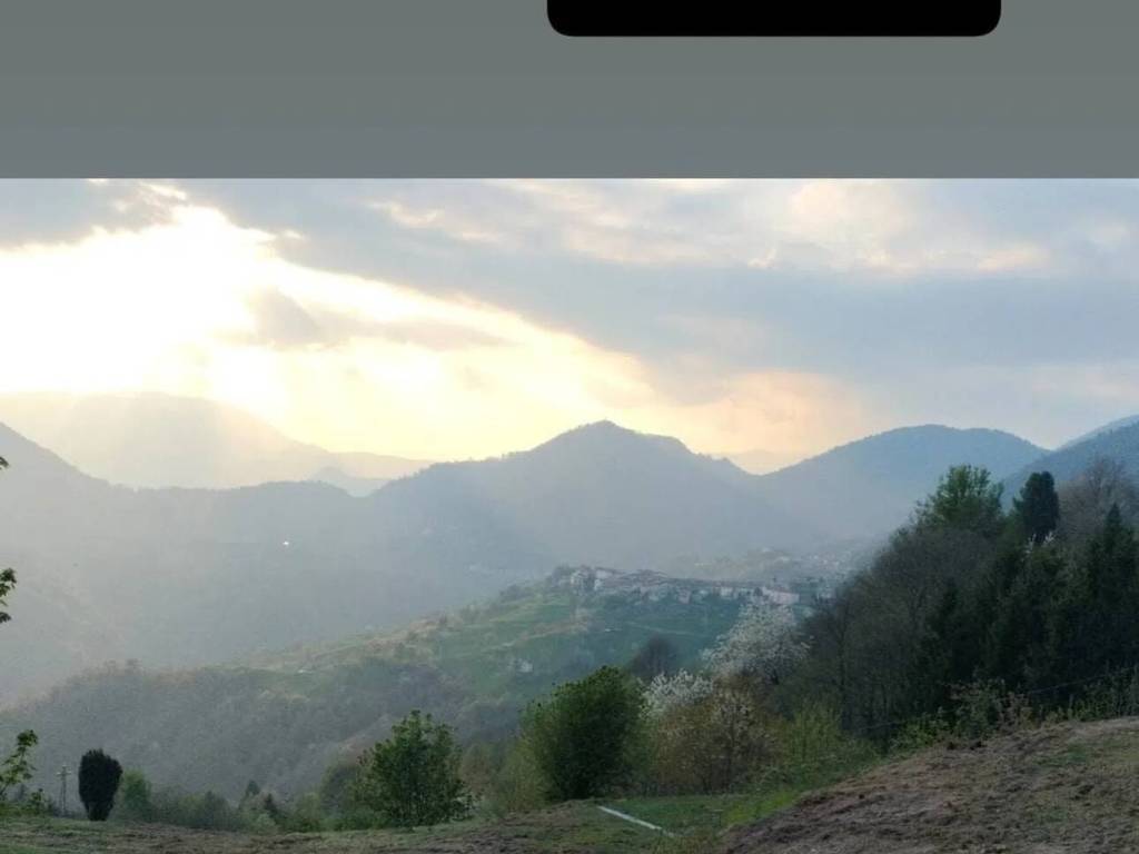 immagine annuncio 0 di 5