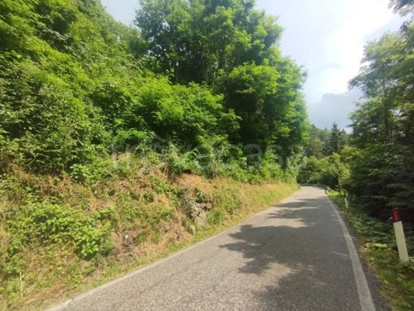 terreno agricolo in vendita a Pertica Alta in zona Belprato