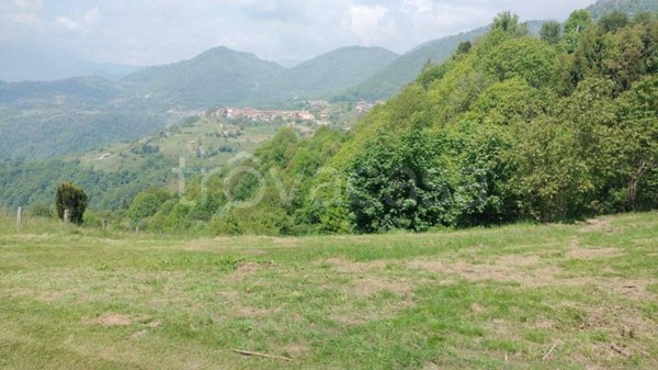 immagine annuncio 0 di 12