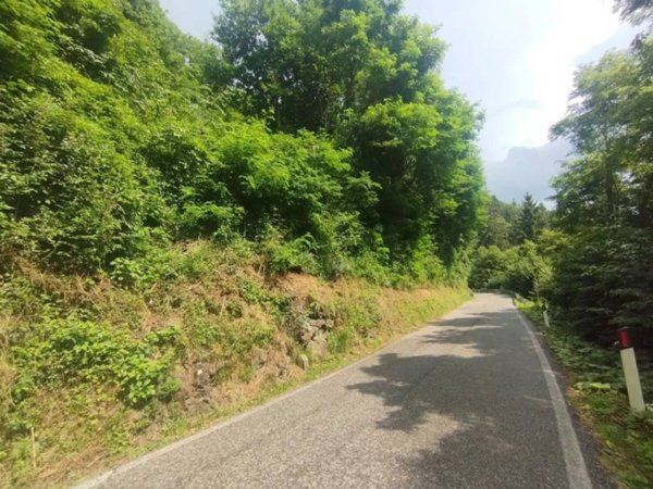 terreno agricolo in vendita a Pertica Alta in zona Livemmo