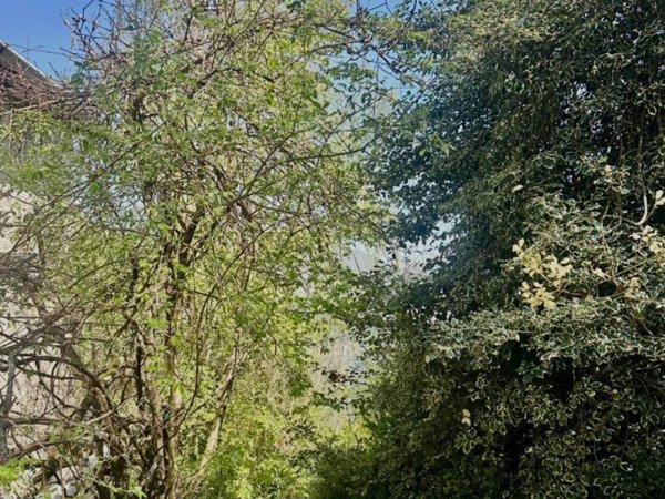 negozio in vendita a Pertica Alta