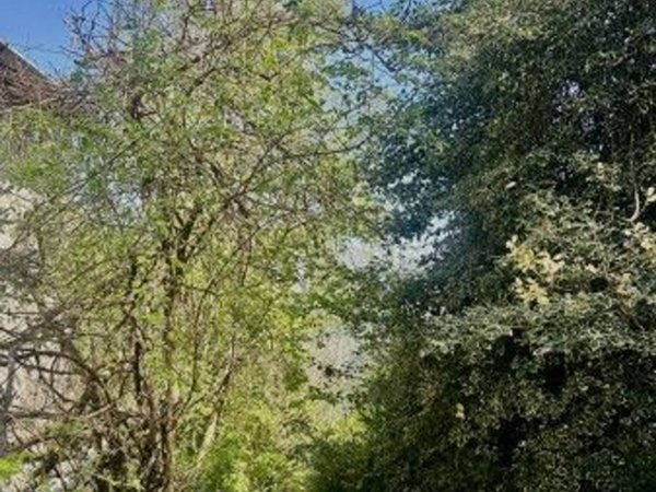 negozio in vendita a Pertica Alta