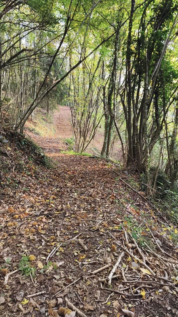 terreno edificabile in vendita a Pertica Alta in zona Belprato