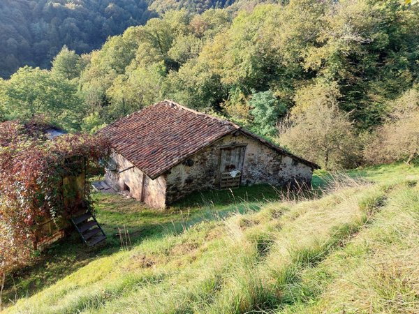 trivano in vendita a Pertica Bassa in zona Avenone