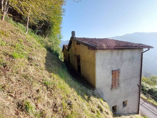 appartamento in vendita a Pertica Bassa in zona Avenone