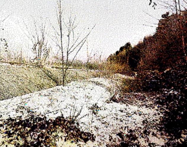 terreno agricolo in vendita a Pian Camuno in zona Solato