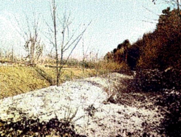 terreno agricolo in vendita a Pian Camuno in zona Solato