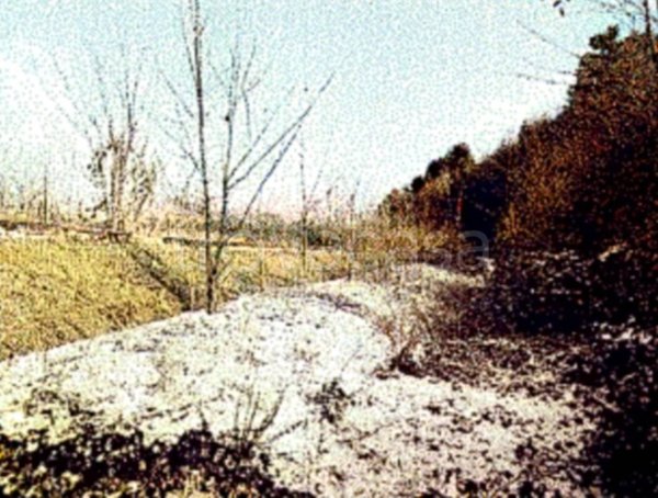terreno agricolo in vendita a Pian Camuno in zona Solato