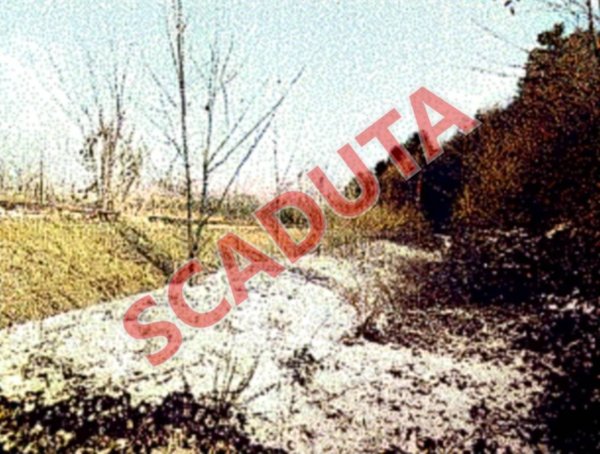 terreno agricolo in vendita a Pian Camuno in zona Solato