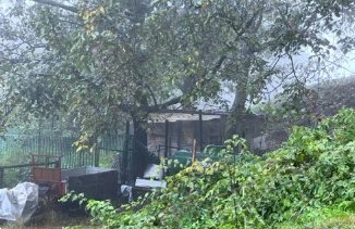 terreno agricolo in vendita a Pian Camuno