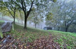 terreno agricolo in vendita a Pian Camuno