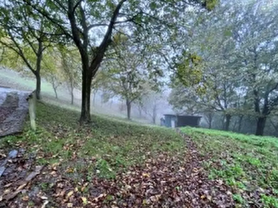 terreno agricolo in vendita a Pian Camuno
