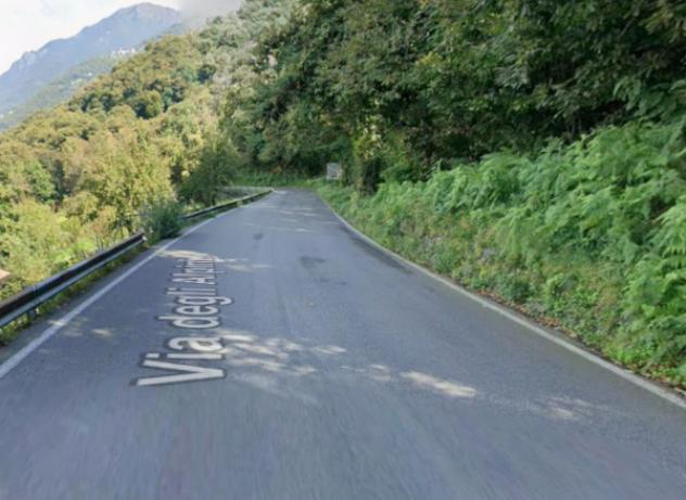 terreno agricolo in vendita a Pian Camuno in zona Solato