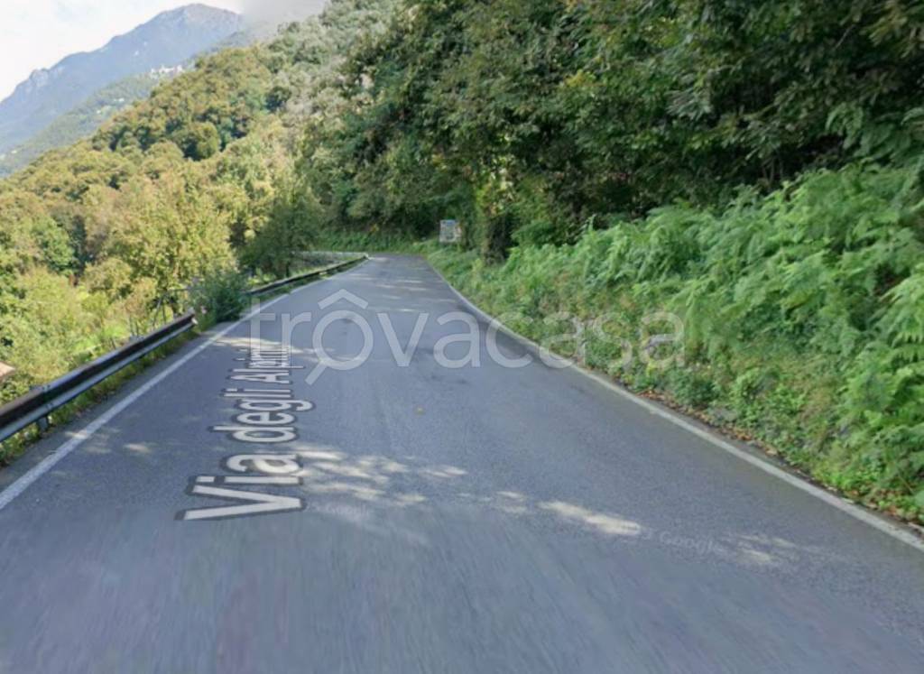 terreno agricolo in vendita a Pian Camuno in zona Solato