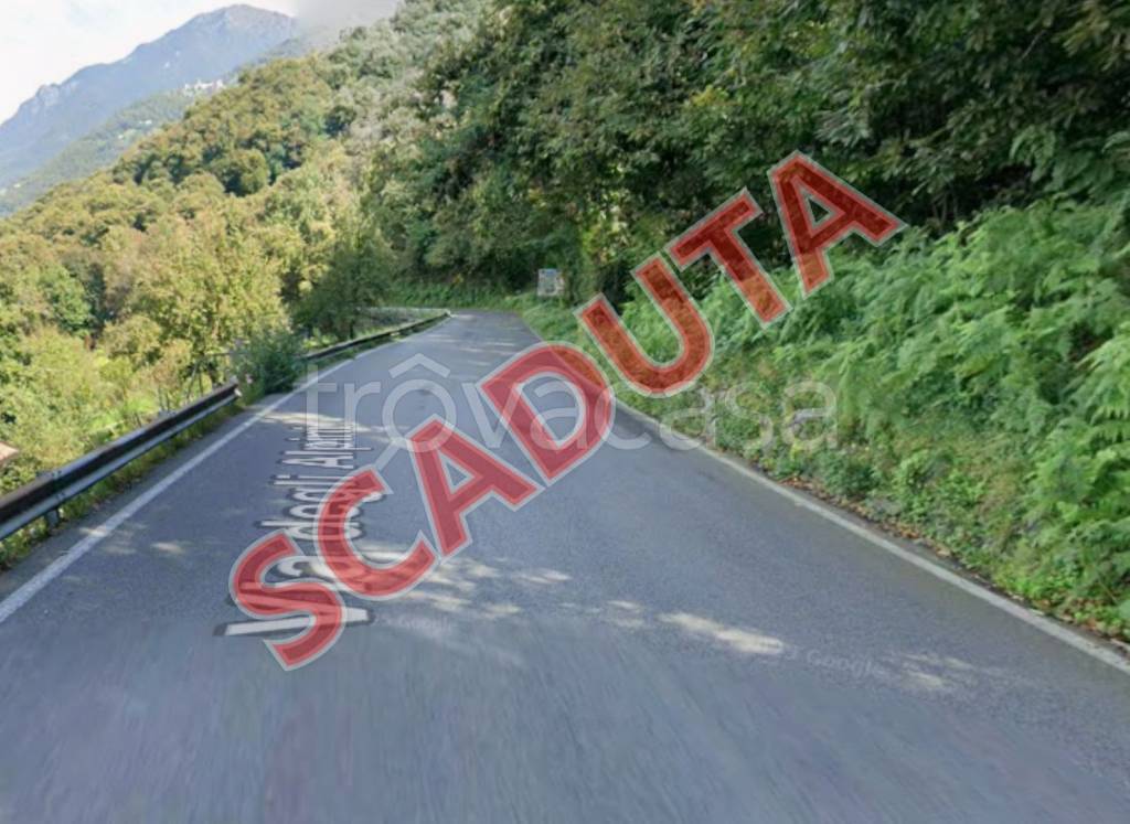 terreno agricolo in vendita a Pian Camuno in zona Solato