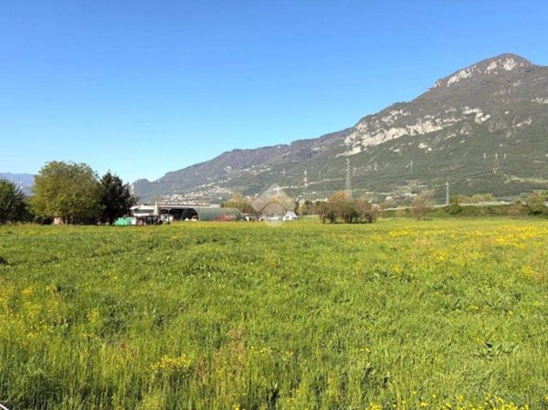 terreno agricolo in vendita a Pian Camuno