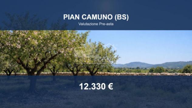 terreno agricolo in vendita a Pian Camuno