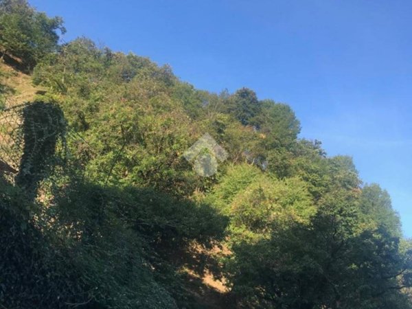 terreno agricolo in vendita a Pisogne in zona Toline
