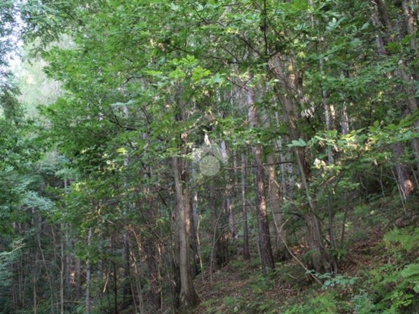 terreno agricolo in vendita a Pisogne in zona Fraine