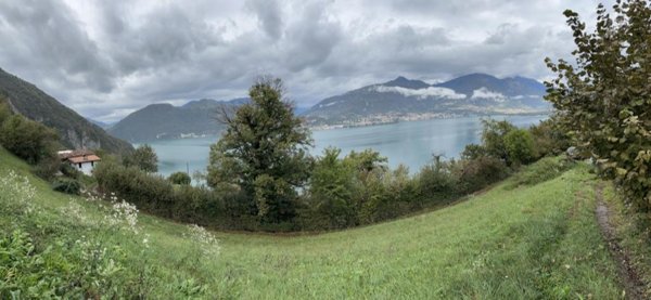 immagine annuncio 0 di 10
