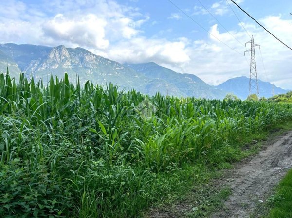 terreno agricolo in vendita a Pisogne