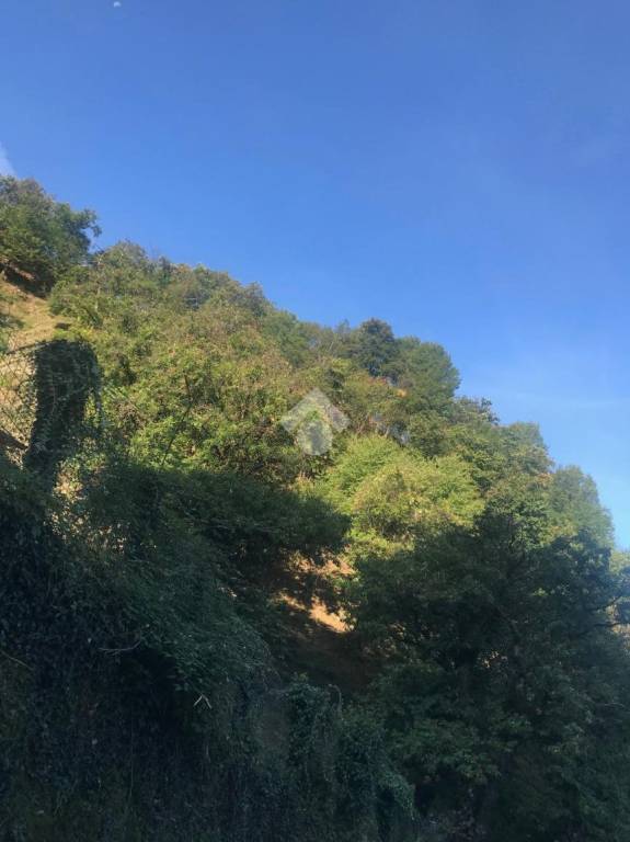 terreno agricolo in vendita a Pisogne in zona Toline