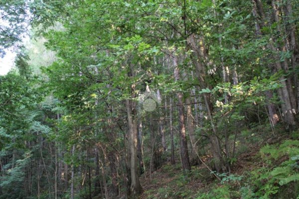 terreno agricolo in vendita a Pisogne in zona Fraine