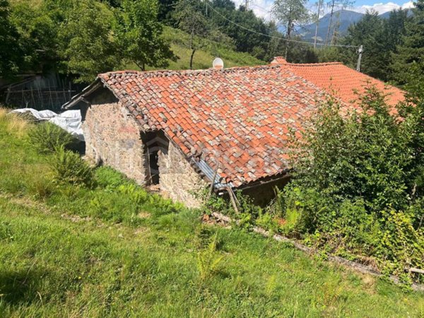 immagine annuncio 0 di 14