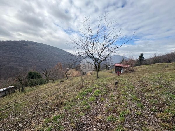 terreno agricolo in vendita a Polaveno