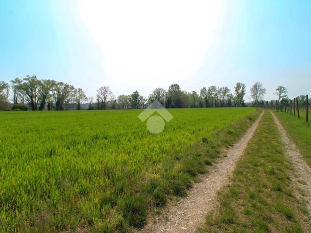 terreno agricolo in vendita a Polpenazze del Garda