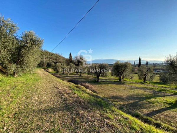 terreno agricolo in vendita a Polpenazze del Garda