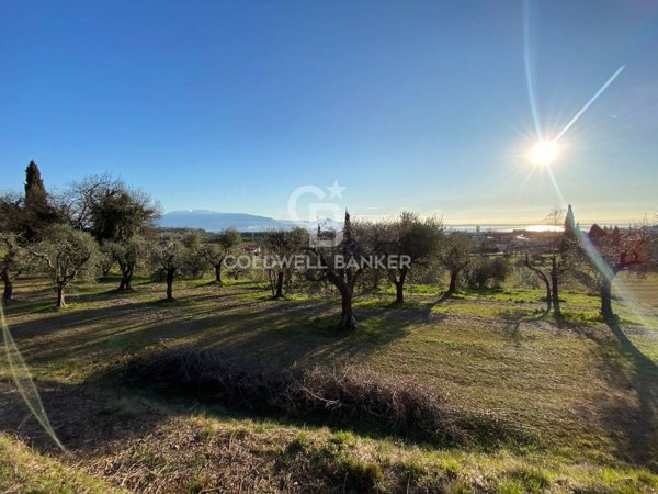 terreno agricolo in vendita a Polpenazze del Garda