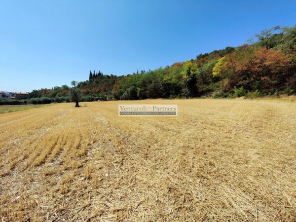 terreno agricolo in vendita a Polpenazze del Garda in zona Fontanelle