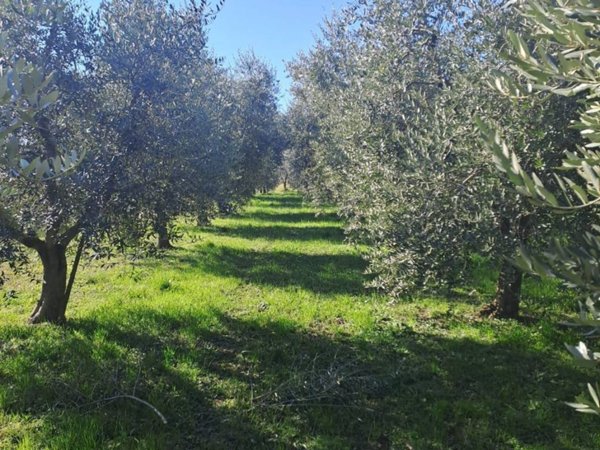 terreno edificabile in vendita a Polpenazze del Garda