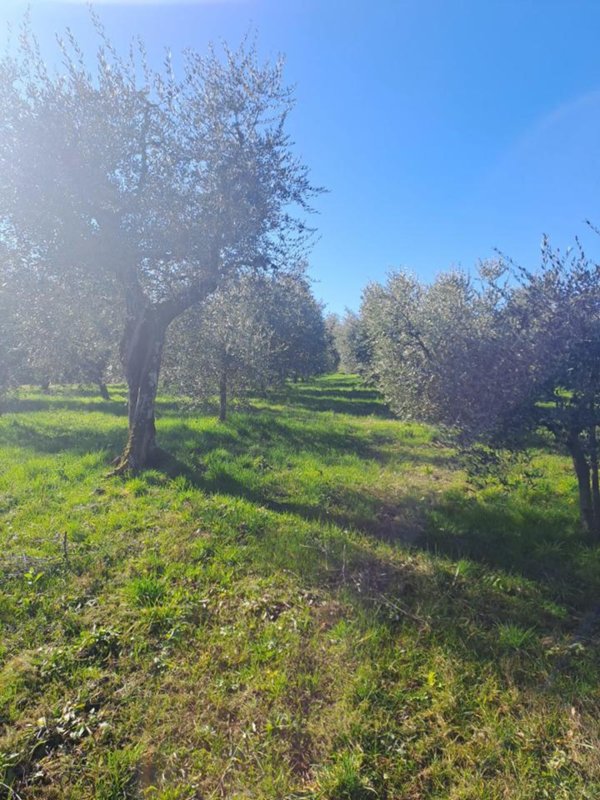 terreno agricolo in vendita a Polpenazze del Garda