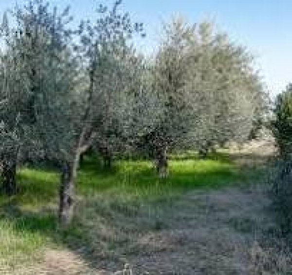 negozio in vendita a Polpenazze del Garda in zona Picedo