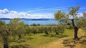 azienda agricola in vendita a Polpenazze del Garda