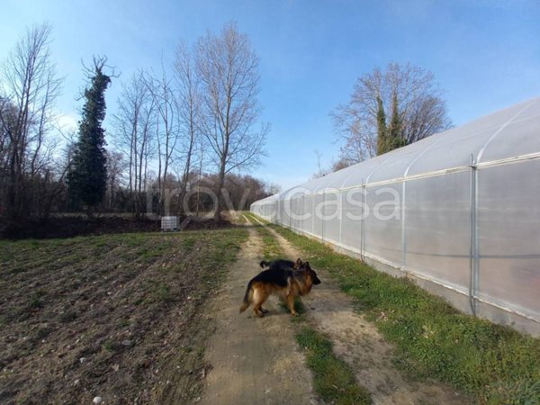 terreno agricolo in vendita a Polpenazze del Garda in zona Picedo