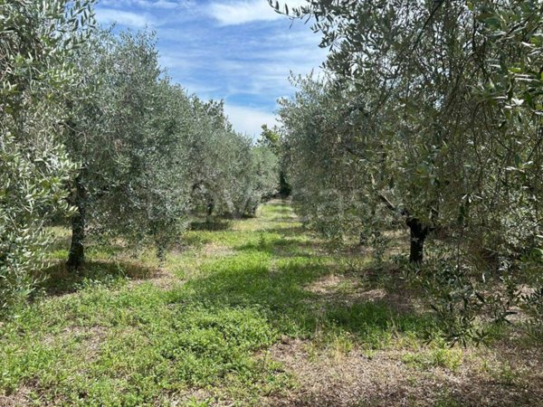 terreno agricolo in vendita a Polpenazze del Garda in zona Fontanelle