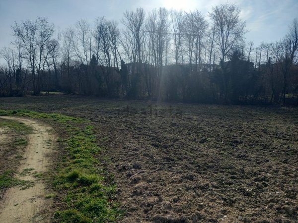 terreno agricolo in vendita a Polpenazze del Garda in zona Picedo