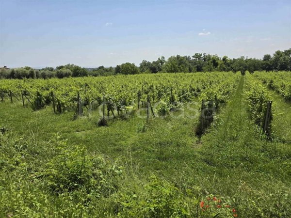 terreno agricolo in vendita a Polpenazze del Garda