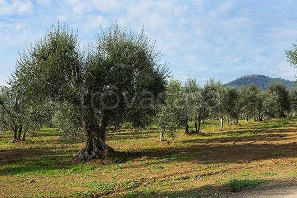 terreno agricolo in vendita a Polpenazze del Garda