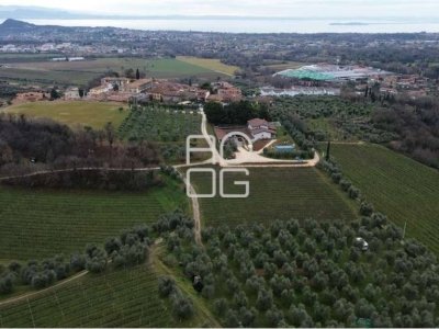 azienda agricola in vendita a Polpenazze del Garda in zona Picedo