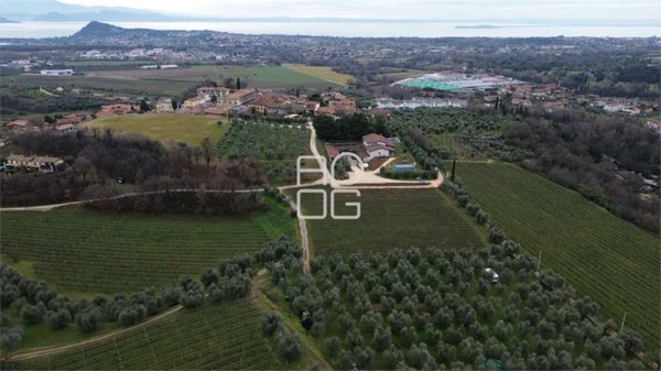 azienda agricola in vendita a Polpenazze del Garda in zona Picedo