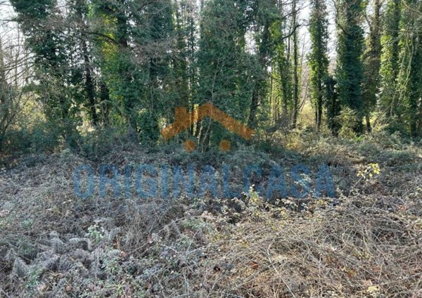 terreno agricolo in vendita a Polpenazze del Garda