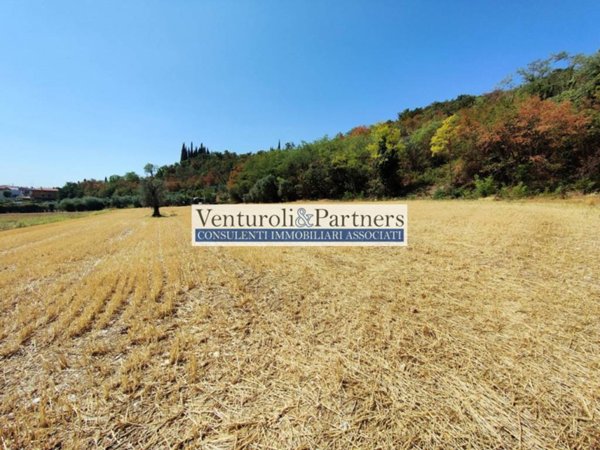 terreno agricolo in vendita a Polpenazze del Garda