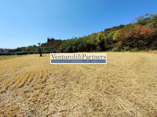 terreno agricolo in vendita a Polpenazze del Garda