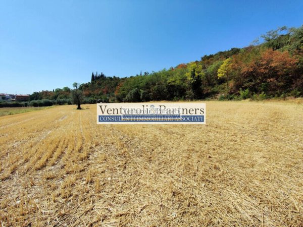 terreno agricolo in vendita a Polpenazze del Garda