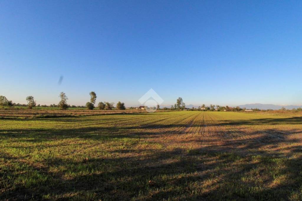 terreno agricolo in vendita a Pompiano